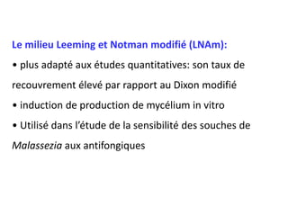 Le milieu Leeming et Notman modifié (LNAm):
• plus adapté aux études quantitatives: son taux de
recouvrement élevé par rapport au Dixon modifié
• induction de production de mycélium in vitro
• Utilisé dans l’étude de la sensibilité des souches de
Malassezia aux antifongiques
 