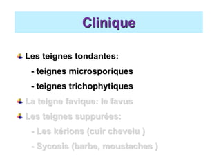 Les teignes tondantes:
- teignes microsporiques
- teignes trichophytiques
La teigne favique: le favus
Les teignes suppurées:
- Les kérions (cuir chevelu )
- Sycosis (barbe, moustaches )
Clinique
 
