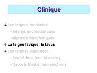 Les teignes tondantes:
- teignes microsporiques
-teignes trichophytiques
La teigne favique: le favus
Les teignes suppurées:
- Les kérions (cuir chevelu )
- Sycosis (barbe, moustaches )
Clinique
 