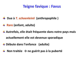 Teigne favique : Favus
Due à T. schoenleinii (anthropophile )
Rare (enfant, adulte)
Autrefois, elle était fréquente dans notre pays mais
actuellement elle est devenue sporadique
Débute dans l’enfance (adulte)
Non traitée → ne guérit pas à la puberté
 