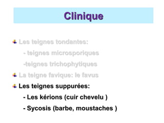 Les teignes tondantes:
- teignes microsporiques
-teignes trichophytiques
La teigne favique: le favus
Les teignes suppurées:
- Les kérions (cuir chevelu )
- Sycosis (barbe, moustaches )
Clinique
 