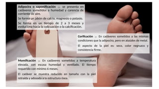 Adipocira o saponificación  se presenta en
cadáveres sometidos a humedad y carencia de
corriente de aire.
Se forma un jabón de calcio, magnesio o potasio.
Se forma en un tiempo de 2 a 3 meses y
evoluciona hacia la colicuación o la calcificación.
Corificación  En cadáveres sometidos a las mismas
condiciones que la adipocira, pero en ataúdes de metal.
El aspecto de la piel es: seco, color negruzco y
consistencia firme.
Momificación  En cadáveres sometidos a temperatura
elevada, con escasa humedad y ventilado. El tiempo
requerido con mínimo 6 meses.
El cadáver se muestra reducido en tamaño con la piel
retraída y adosada a la estructura ósea.
 