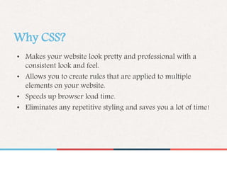 Why CSS?
• Makes your website look pretty and professional with a
consistent look and feel.
• Allows you to create rules that are applied to multiple
elements on your website.
• Speeds up browser load time.
• Eliminates any repetitive styling and saves you a lot of time!
 