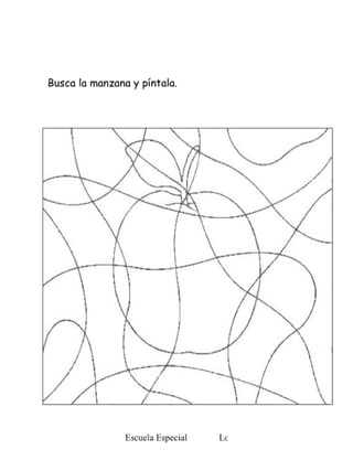 Cuaderno De Apresto