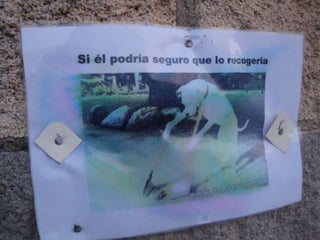 Cuento contigo