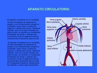 APARATO CIRCULATORIO El aparato circulatorio es un complejo circuito encargado de trasportar la sangre y sus componentes (oxígeno y nutrientes, entre otros) a todos los órganos y células del cuerpo. Desde el corazón, que es el motor impulsor de este circuito, se ramifica un complicado entramado de venas y arterias que suministra a todo el organismo de los componentes necesarios para la vida.  El aparato circulatorio es un complejo circuito encargado de trasportar la sangre y sus componentes (oxígeno y nutrientes, entre otros) a todos los órganos y células del cuerpo. Desde el corazón, que es el motor impulsor de este circuito, se ramifica un complicado entramado de venas y arterias que suministra a todo el organismo de los componentes necesarios para la vida. En el siguiente esquema, destacamos las arterias y venas más importantes.  