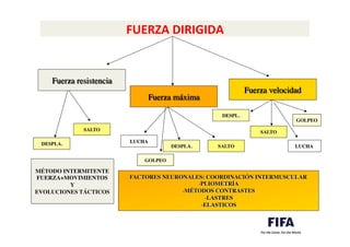 FUERZA	
  DIRIGIDA	
  
	
  	
   Fuerza resistencia	

Fuerza máxima	

Fuerza velocidad	

DESPLA.	

SALTO	

LUCHA	

DESPLA.	

 SALTO	

DESPL.	

SALTO	

GOLPEO	

GOLPEO	

LUCHA	

MÉTODO INTERMITENTE	

FUERZA+MOVIMIENTOS	

Y	

EVOLUCIONES TÁCTICOS	

FACTORES NEURONALES: COORDINACIÓN INTERMUSCULAR	

- PLIOMETRÍA 	

- MÉTODOS CONTRASTES	

- LASTRES	

- ELASTICOS	

 