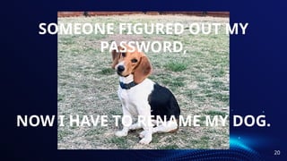 SOMEONE FIGURED OUT MY
PASSWORD,
NOW I HAVE TO RENAME MY DOG.
20
 