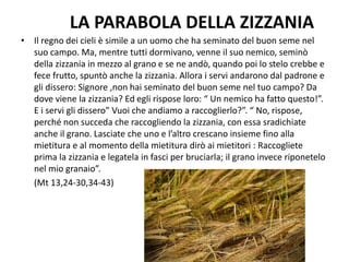 LA PARABOLA DELLA ZIZZANIA
• Il regno dei cieli è simile a un uomo che ha seminato del buon seme nel
suo campo. Ma, mentre tutti dormivano, venne il suo nemico, seminò
della zizzania in mezzo al grano e se ne andò, quando poi lo stelo crebbe e
fece frutto, spuntò anche la zizzania. Allora i servi andarono dal padrone e
gli dissero: Signore ,non hai seminato del buon seme nel tuo campo? Da
dove viene la zizzania? Ed egli rispose loro: “ Un nemico ha fatto questo!”.
E i servi gli dissero” Vuoi che andiamo a raccoglierlo?”. “ No, rispose,
perché non succeda che raccogliendo la zizzania, con essa sradichiate
anche il grano. Lasciate che uno e l’altro crescano insieme fino alla
mietitura e al momento della mietitura dirò ai mietitori : Raccogliete
prima la zizzania e legatela in fasci per bruciarla; il grano invece riponetelo
nel mio granaio”.
(Mt 13,24-30,34-43)
 