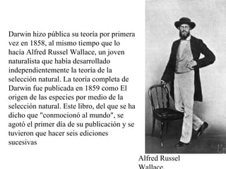 Darwin hizo pública su teoría por primera vez en 1858, al mismo tiempo que lo hacía Alfred Russel Wallace, un joven naturalista que había desarrollado independientemente la teoría de la selección natural. La teoría completa de Darwin fue publicada en 1859 como El origen de las especies por medio de la selección natural. Este libro, del que se ha dicho que &quot;conmocionó al mundo&quot;, se agotó el primer día de su publicación y se tuvieron que hacer seis ediciones sucesivas Alfred Russel Wallace, 