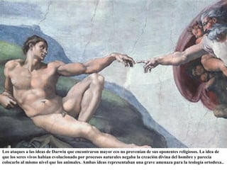 Los ataques a las ideas de Darwin que encontraron mayor eco no provenían de sus oponentes religiosos. La idea de que los seres vivos habían evolucionado por procesos naturales negaba la creación divina del hombre y parecía colocarlo al mismo nivel que los animales. Ambas ideas representaban una grave amenaza para la teología ortodoxa..  