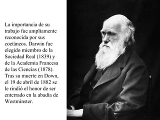 La importancia de su trabajo fue ampliamente reconocida por sus coetáneos. Darwin fue elegido miembro de la Sociedad Real (1839) y de la Academia Francesa de las Ciencias (1878). Tras su muerte en Down, el 19 de abril de 1882 se le rindió el honor de ser enterrado en la abadía de Westminster. 