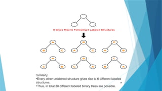 29
Similarly,
•Every other unlabeled structure gives rise to 6 different labeled
structures.
•Thus, in total 30 different labeled binary trees are possible.
 
