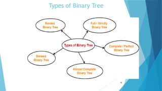 Types of Binary Tree
30
 