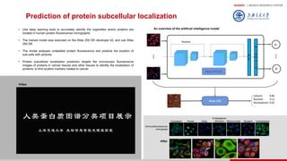 HUAWEI | MUNICH RESEARCH CENTER
85
Prediction of protein subcellular localization
• Use deep learning tools to accurately identify the organelles where proteins are
located in human protein fluorescence micrographs
• The trained model was executed on the Atlas 200 DK developer kit, and use Atlas
200 DK
• The model analyses unlabelled protein fluorescence and predicts the location of
sub-cells with pictures
• Protein subcellular localisation prediction targets the microscopic fluorescence
images of proteins in cancer tissues and other tissues to identify the localisation of
proteins; to find location markers related to cancer
An overview of the artificial intelligence model
Video
Residual
y1
yn
S
i
g
m
o
i
d
F
C
Atlas 200开发板
Cytosol: 0.86
Nucleoli: 0.11
Nucleoplasm: 0.02
...
Atlas 200 DK
Immunofluorescence
micrograph
Cytoplasm Nuclei Golgi
Endoplasmic
reticulum Mitochondria Nucleoli Cytoskeleton
After
Atlas 200
 