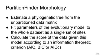 PartitionFinder Morphology
● Estimate a phylogenetic tree from the
unpartitioned data matrix
● Fit parameters of the evolutionary model to
the whole dataset as a single set of sites
● Calculate the score of the data given this
model according to an information theoretic
criterion (AIC, BIC or AICc)
114
 