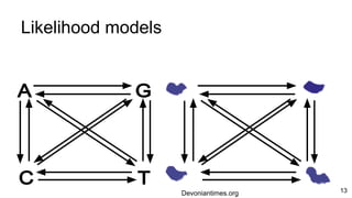 Likelihood models
● Given a model and data, how likely is a tree?
Devoniantimes.org 13
 