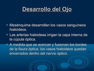 Desarrollo del OjoDesarrollo del Ojo
 Mesénquima desarrollan los vasos sanguíneosMesénquima desarrollan los vasos sanguíneos
hialoideos.hialoideos.
 Las arterias hialoideas irrigan la capa interna deLas arterias hialoideas irrigan la capa interna de
la cúpula óptica.la cúpula óptica.
 A medida que se acercan y fusionan los bordesA medida que se acercan y fusionan los bordes
de la fisura óptica, los vasos hialoideos quedande la fisura óptica, los vasos hialoideos quedan
encerrados dentro del nervio óptico.encerrados dentro del nervio óptico.
 