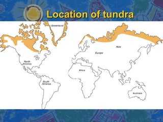 Location of tundra 