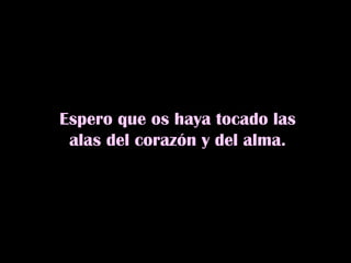 Espero que os haya tocado las alas del corazón y del alma. 