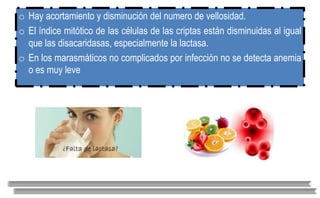 o Hay acortamiento y disminución del numero de vellosidad.
o El índice mitótico de las células de las criptas están disminuidas al igual
que las disacaridasas, especialmente la lactasa.
o En los marasmáticos no complicados por infección no se detecta anemia
o es muy leve
 
