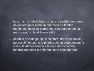 la carne: no habría fruta, no nos la podríamos comer,
no serviría para nada, la manzana no tendría
nutrientes, no la cultivaríamos, desaparecerían los
manzanos, no tendríamos sidra…
el rabito o vástago: no se sujetaría del árbol, no se
podría alimentar, no la puedes colgar para decorar la
clase, te ahorra tiempo a la hora de comértela,
tendría que tener otra forma, sería más aburrido
 