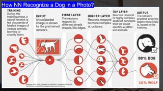 Reference: WHY DEEP LEARNING IS SUDDENLY CHANGING YOUR LIFE
http://fortune.com/ai-artificial-intelligence-deep-machine-learning/
How NN Recognize a Dog in a Photo?
 