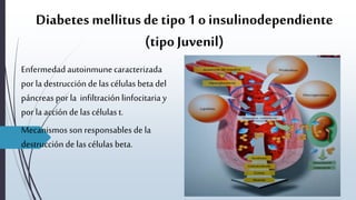 Diabetes mellitus de tipo 1 o insulinodependiente
(tipo Juvenil)
Enfermedad autoinmunecaracterizada
por la destrucción de las células beta del
páncreas por la infiltraciónlinfocitaria y
por la acción de las células t.
Mecanismos son responsables de la
destrucción de las células beta.
 