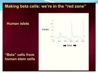 Stem Cell Treatment for Diabetes 