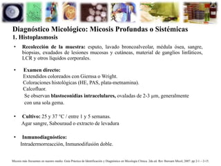 • Recolección de la muestra: esputo, lavado broncoalveolar, médula ósea, sangre,
biopsias, exudados de lesiones mucosas y cutáneas, material de ganglios linfáticos,
LCR y otros líquidos corporales.
• Examen directo:
Extendidos coloreados con Giemsa o Wright.
Coloraciones histológicas (HE, PAS, plata-metnamina).
Calcofluor.
Se observan blastoconidias intracelulares, ovaladas de 2-3 µm, generalmente
con una sola gema.
• Cultivo: 25 y 37 °C / entre 1 y 5 semanas.
Agar sangre, Sabouraud o extracto de levadura
• Inmunodiagnóstico:
Intradermorreacción, Inmunodifusión doble.
HISTOPLASMOSIS DIAGNÓSTICO
Diagnóstico Micológico: Micosis Profundas o Sistémicas
1. Histoplasmosis
Micosis más frecuentes en nuestro medio. Guía Práctica de Identificación y Diagnóstico en Micología Clínica. 2da ed. Rev Iberoam Micol; 2007. pp 2-1 – 2-15.
 