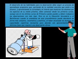 El desarrollo de las habilidades para la observación debe seguir un proceso de
aprendizaje progresivo que, partiendo de la realidad concreta que estén a su
alcance, y aprovechando la curiosidad y el interés que muestran los alumnos por
los aspectos de su medio próximo, debe comenzar desde los primeros cursos,
aunque sea en los últimos cursos de Primaria cuando pueden y deben trabajarse
las observaciones con más rigor. Pero es en la Educación Secundaria y el
Bachillerato cuando la enseñanza de este procedimiento puede abordarse de
forma más completa, sistemática y analítica, al haber alcanzado los alumnos las
capacidades cognitivas necesarias para abordar con aprovechamiento las
distintas fases que requiere una observación eficaz.
 