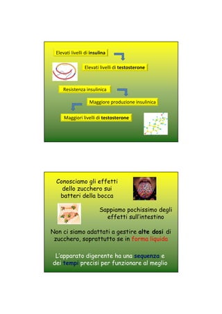 Elevati livelli di insulina
Elevati livelli di testosterone
Resistenza insulinica
Maggiore produzione insulinica
Maggiori livelli di testosterone
Sappiamo pochissimo degli
effetti sull’intestino
Conosciamo gli effetti
dello zucchero sui
batteri della bocca
Non ci siamo adattati a gestire alte dosi di
zucchero, soprattutto se in forma liquida
L’apparato digerente ha una sequenza e
dei tempi precisi per funzionare al meglio
 