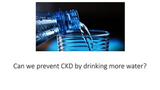 Can we prevent CKD by drinking more water?
 