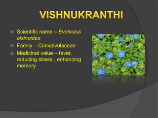  Scientific name – Evolvulus
alsinoides
 Family – Convolvulaceae
 Medicinal value – fever,
reducing stress , enhancing
memory
 