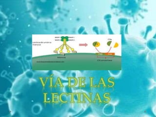 Sistema de complemento 