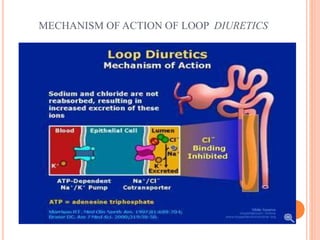 MECHANISM OF ACTION OF LOOP DIURETICS
 