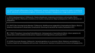 🧪 4. GDF15 (Growth Differentiation Factor 15)Alteración: Variante rs1054564.Efecto: Aumenta los niveles circulantes de
GDF15, afectando la homeostasis energética. Consecuencia: Asociado a hiperglucemia y riesgo cardiovascular en DT2.💉
5. APOC3 (Apolipoproteína C-III)Alteración: Niveles elevados por mutaciones promotoras o estructurales. Efecto:
Hipertrigliceridemia, inflamación y resistencia a la insulina. Consecuencia: Mayor predisposición a DT2 en personas con
dislipidemia.
🧫 6. RHOT1 (Ras Homolog Family Member T1)Alteración: Modificaciones epigenéticas (hipometilación).Efecto: Afecta la
dinámica mitocondrial en células beta .Consecuencia: Disminuye la secreción de insulina, facilitando la DT2.
⚙️7. TXNIP (Thioredoxin-Interacting Protein)Alteración: Sobreexpresión e hipometilación.Efecto: Induce apoptosis de
células beta y estrés oxidativo.Consecuencia: Empeora el control glucémico y promueve DT2.🔁
8. SUCNR1 (Succinate Receptor 1)Alteración: Variantes genéticas en su promotor. Efecto: Modula la sensibilidad a la
insulina a través de vías metabólicas del succinato. Consecuencia: Favorece la resistencia a la insulina y la hiperglucemia.
 