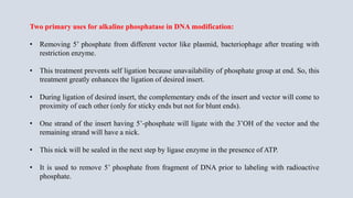 Two primary uses for alkaline phosphatase in DNA modification:
• Removing 5’ phosphate from different vector like plasmid, bacteriophage after treating with
restriction enzyme.
• This treatment prevents self ligation because unavailability of phosphate group at end. So, this
treatment greatly enhances the ligation of desired insert.
• During ligation of desired insert, the complementary ends of the insert and vector will come to
proximity of each other (only for sticky ends but not for blunt ends).
• One strand of the insert having 5’-phosphate will ligate with the 3’OH of the vector and the
remaining strand will have a nick.
• This nick will be sealed in the next step by ligase enzyme in the presence of ATP.
• It is used to remove 5’ phosphate from fragment of DNA prior to labeling with radioactive
phosphate.
 
