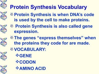 Protein Synthesis Vocabulary
Protein Synthesis is when DNA’s code
is used by the cell to make proteins.
Protein Synthesis is also called gene
expression.
The genes “express themselves” when
the proteins they code for are made.
VOCABULARY:
GENE
CODON
AMINO ACID
 