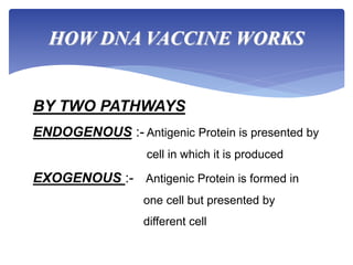 HOW DNA VACCINE WORKS
BY TWO PATHWAYS
ENDOGENOUS :- Antigenic Protein is presented by
cell in which it is produced
EXOGENOUS :- Antigenic Protein is formed in
one cell but presented by
different cell
 