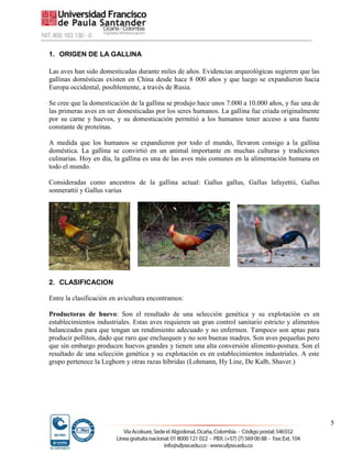 5
1. ORIGEN DE LA GALLINA
Las aves han sido domesticadas durante miles de años. Evidencias arqueológicas sugieren que las
gallinas domésticas existen en China desde hace 8 000 años y que luego se expandieron hacia
Europa occidental, posiblemente, a través de Rusia.
Se cree que la domesticación de la gallina se produjo hace unos 7.000 a 10.000 años, y fue una de
las primeras aves en ser domesticadas por los seres humanos. La gallina fue criada originalmente
por su carne y huevos, y su domesticación permitió a los humanos tener acceso a una fuente
constante de proteínas.
A medida que los humanos se expandieron por todo el mundo, llevaron consigo a la gallina
doméstica. La gallina se convirtió en un animal importante en muchas culturas y tradiciones
culinarias. Hoy en día, la gallina es una de las aves más comunes en la alimentación humana en
todo el mundo.
Consideradas como ancestros de la gallina actual: Gallus gallus, Gallus lafayettii, Gallus
sonnerattii y Gallus varius
2. CLASIFICACION
Entre la clasificación en avicultura encontramos:
Productoras de huevo: Son el resultado de una selección genética y su explotación es en
establecimientos industriales. Estas aves requieren un gran control sanitario estricto y alimentos
balanceados para que tengan un rendimiento adecuado y no enfermen. Tampoco son aptas para
producir pollitos, dado que raro que encluequen y no son buenas madres. Son aves pequeñas pero
que sin embargo producen huevos grandes y tienen una alta conversión alimento-postura. Son el
resultado de una selección genética y su explotación es en establecimientos industriales. A este
grupo pertenece la Leghorn y otras razas híbridas (Lohmann, Hy Line, De Kalb, Shaver.)
 