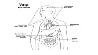 Dosha dhatu mala