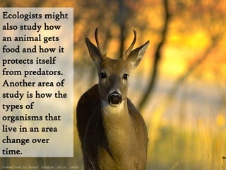 Ecologists might also study how an animal gets food and how it protects itself from predators. Another area of study is how the   types of organisms that live in an area change over time . Presented by Brent Daigle, Ph.D. (ABD) 