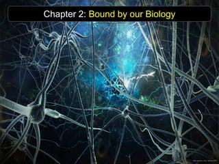 Chapter 2: Bound by our Biology 
 