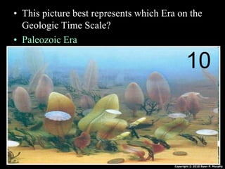 • This picture best represents which Era on the
Geologic Time Scale?
• Paleozoic Era
10
Copyright © 2010 Ryan P. Murphy
 