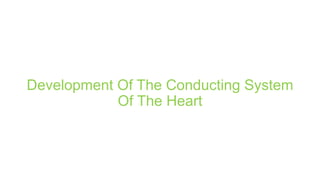 Development Of The Conducting System
Of The Heart
 