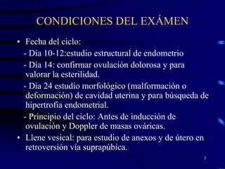 Ecogineco 1