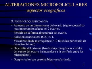 Ecogineco 1