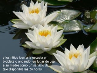 y los niños iban a la escuela en bicicleta o andando, en lugar de usar a su madre como un servicio de  taxi disponible las 24 horas. 