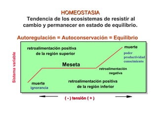 ( - ) tensión ( + )( - ) tensión ( + )
retroalimentación positiva
de la región superior
retroalimentación positiva
de la región inferior
muerte
ignorancia
muerte
Meseta
retroalimentación
negativa
poder
productividad
conocimiento
HOMEOSTASIAHOMEOSTASIA
Tendencia de los ecosistemas de resistir al
cambio y permanecer en estado de equilibrio.
Autoregulación = Autoconservación = Equilibrio
Sistemavariable
 